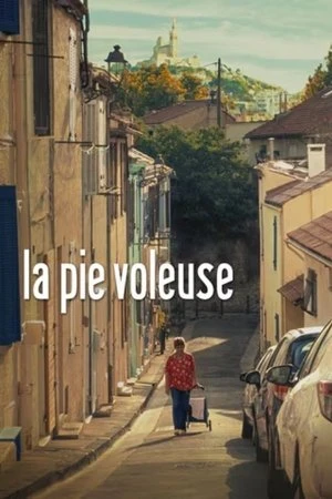 Regarder La pie voleuse en streaming complet
