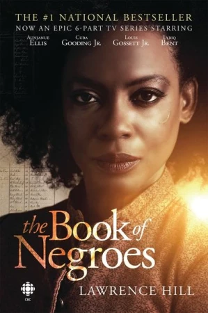  The Book of Negroes - Saison 1 affiche 
