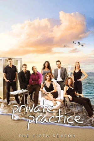  Private Practice - Saison 5 affiche 