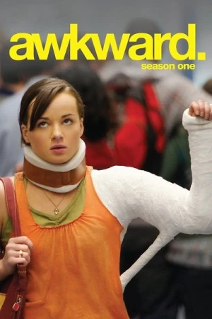  Awkward - Saison 1 affiche 
