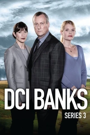  DCI Banks  - Saison 3 affiche 