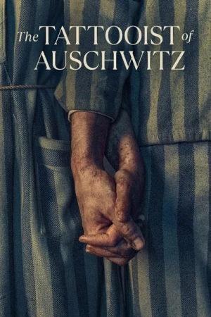  The Tattooist of Auschwitz - Saison 1 affiche 