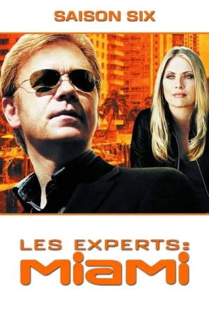  Les Experts : Miami - Saison 6 affiche 